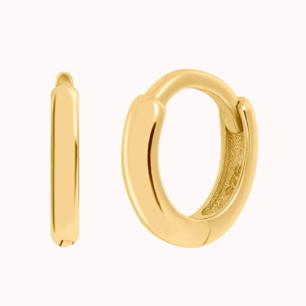 Helix Earring